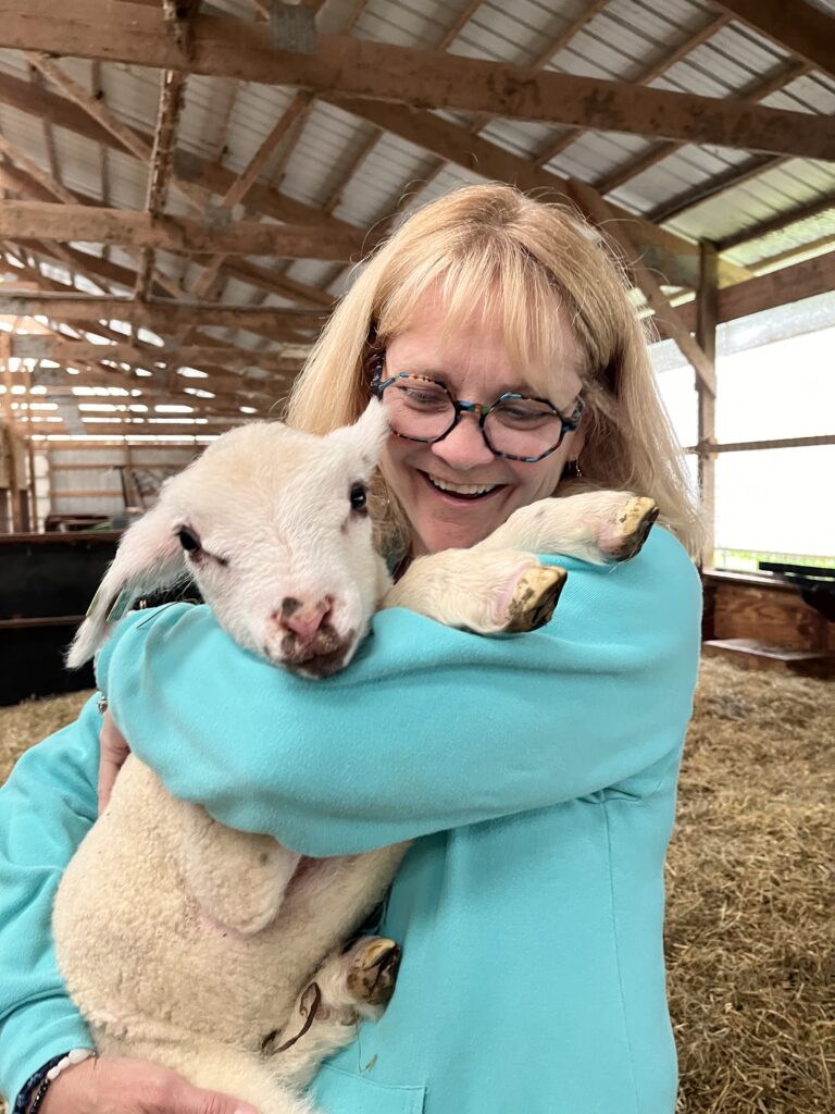 Snuggling with a baby lamb