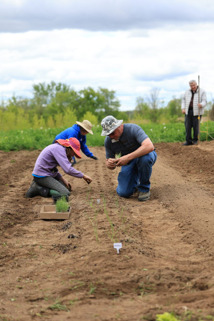 Volunteers planting the garden