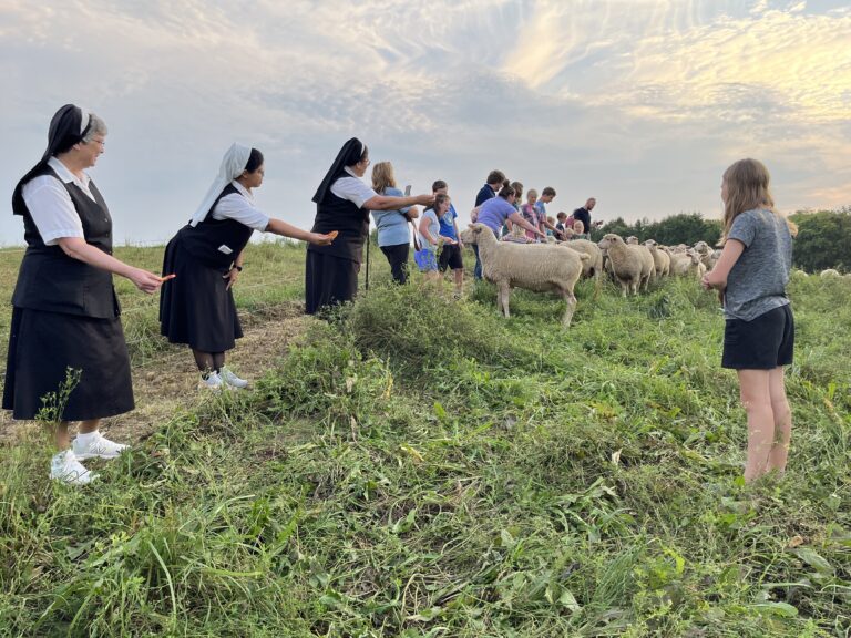 Lumen Christi Farm: A Franciscan Sisters Delight