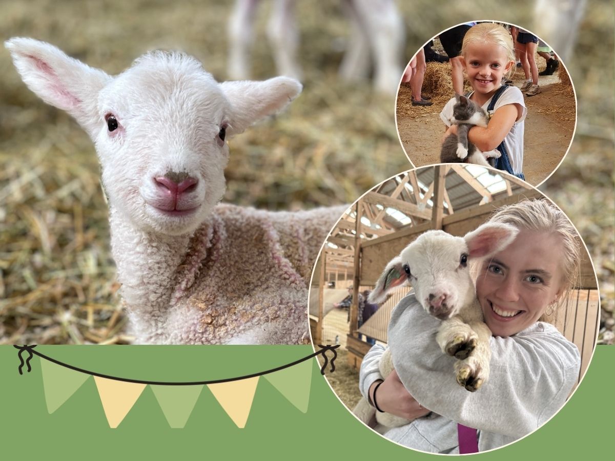 Spring Festival and Fundraiser